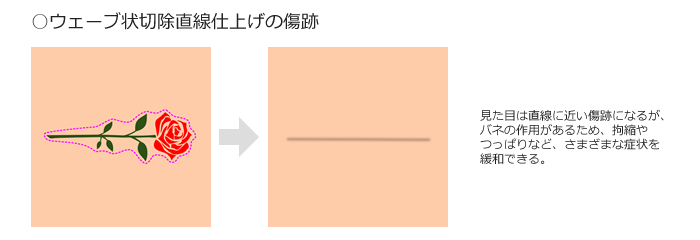 診療内容一覧