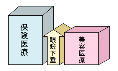眼瞼下垂(眼瞼下垂と眉下切開の意外な関係について)